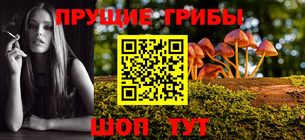 Галлюциногенные грибы мухоморы  Галлюциногенные грибы мухоморы  Вход с VPN  Шарыпово 