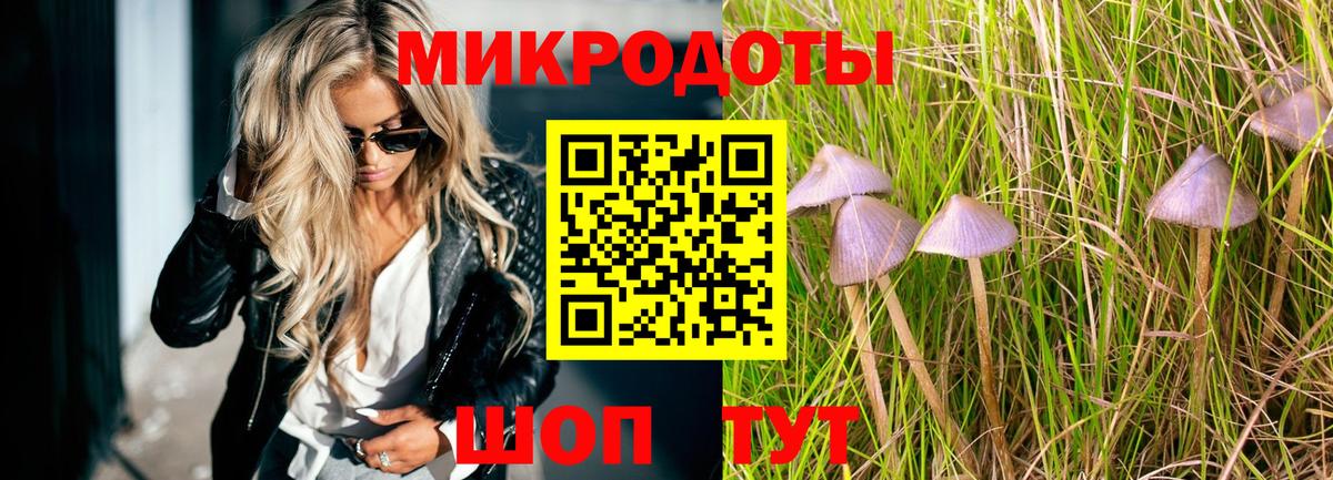 Псилоцибиновые грибы Psilocybine cubensis Шарыпово